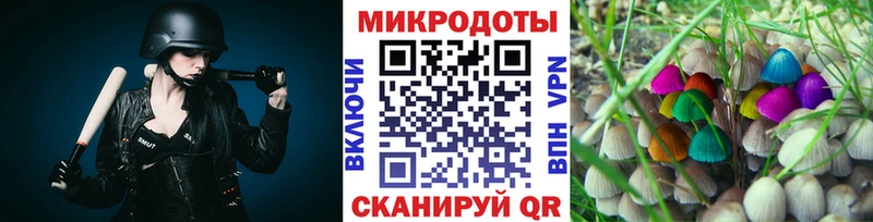 где найти наркотики  Кудрово  Псилоцибиновые грибы Magic Shrooms 